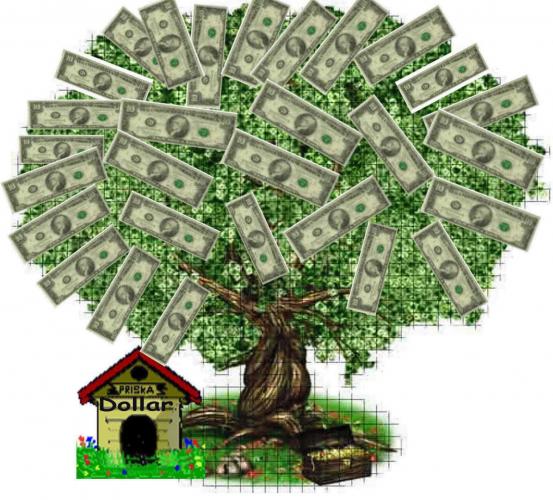 Cine poate semna situatiile financiare: Conditii legale si clarificari