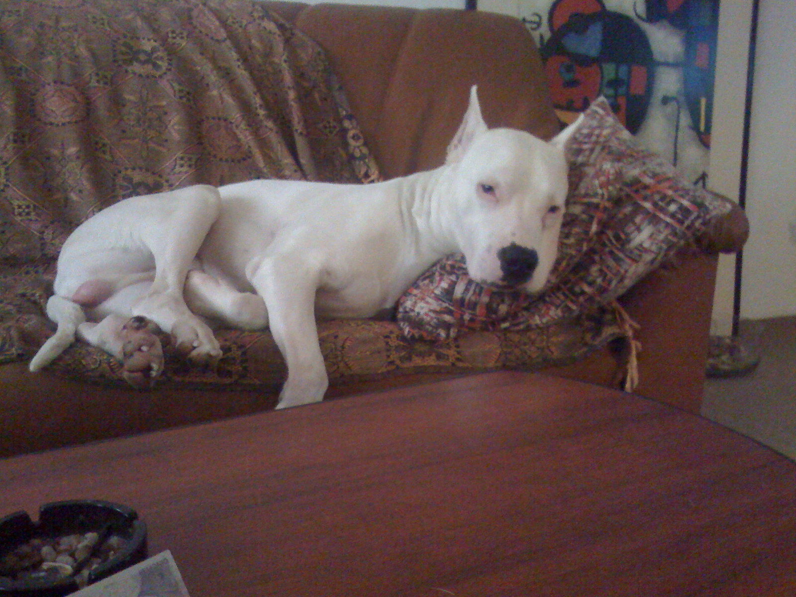 IMG 0279 IMG 0279