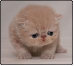 letitia26gcool's Photo