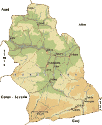 DINES NICOLAE's Photo