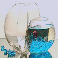 andreea_verra's Photo