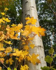 Ștefania Radu's Photo