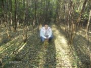 Mihai Anescu's Photo