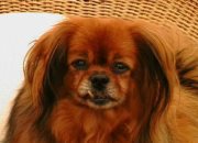 Deculescu Bianca Iulia's Photo