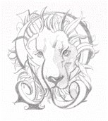 Roxana Iorga's Photo