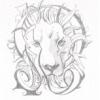 Roxana Iorga's Photo